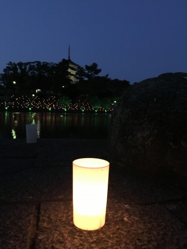 奈良公園 燈火会-8662