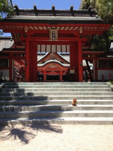 青島神社‼‼-407