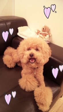 塩崎美紀オフィシャルブログ「Miki's HappyBlog」Powered by Ameba-100605_204513_ed.jpg